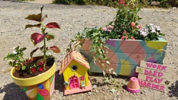 Charity Garden Project