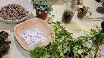 Terrarium Workshop
