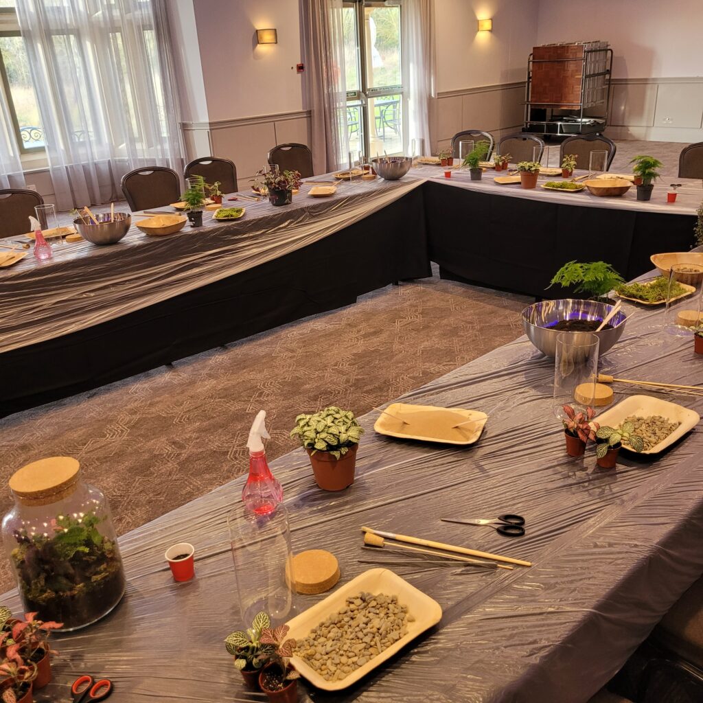 Terrarium Workshop Team Building