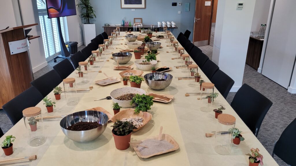 Terrarium Workshop Team Building