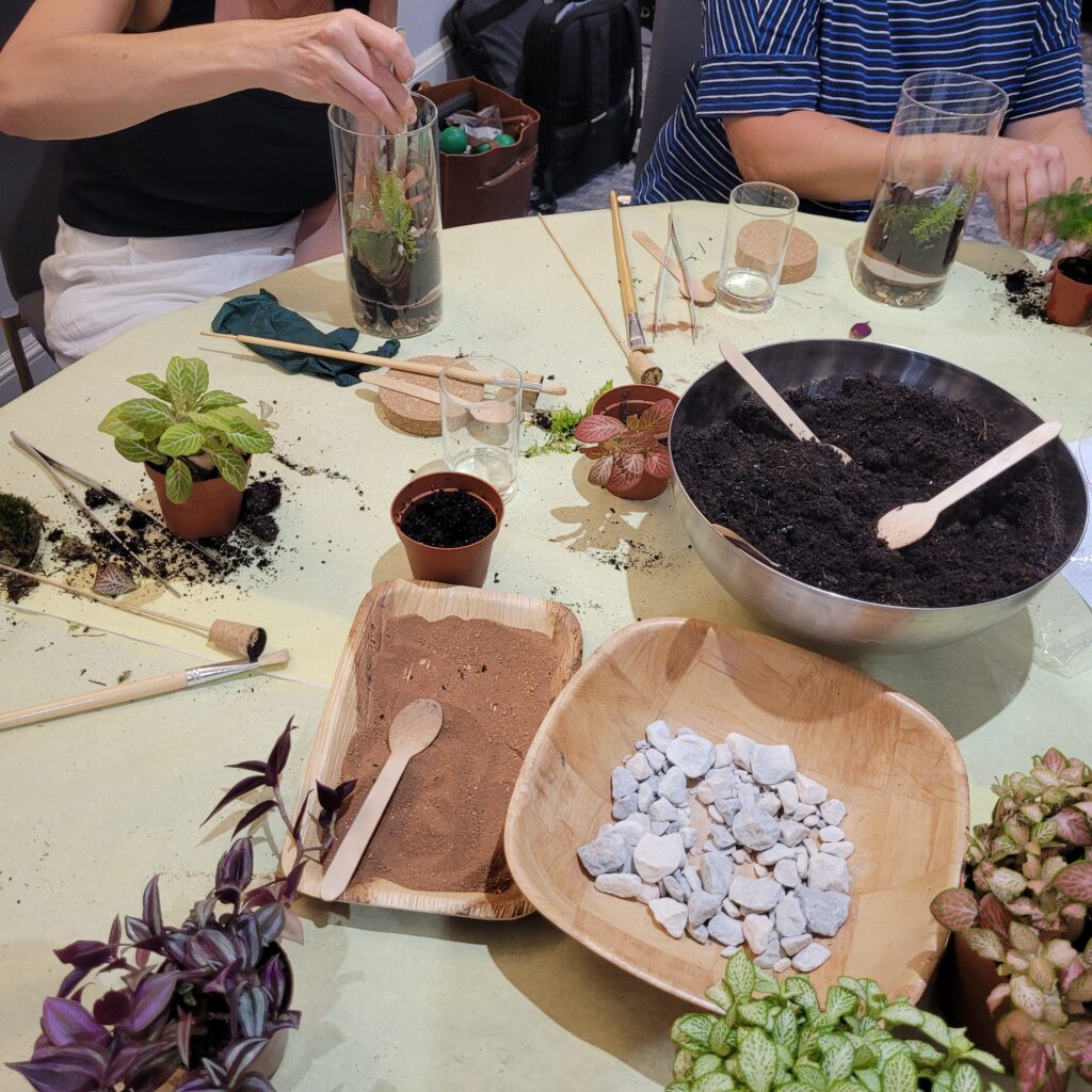 Terrarium Workshop Team Building