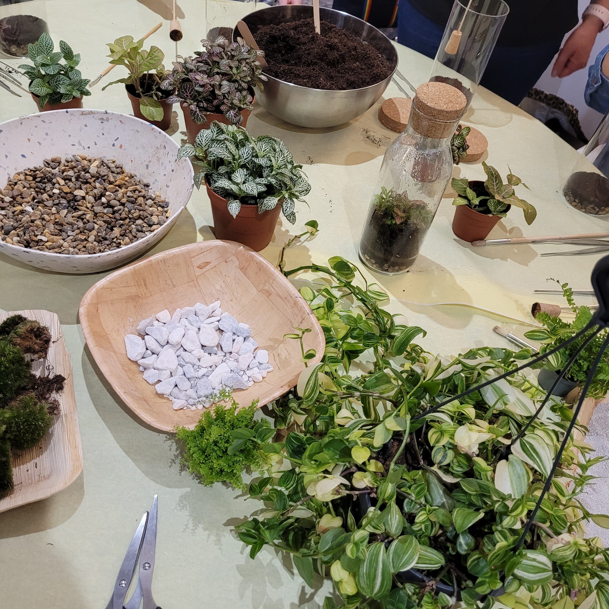 Terrarium Workshop Team Building