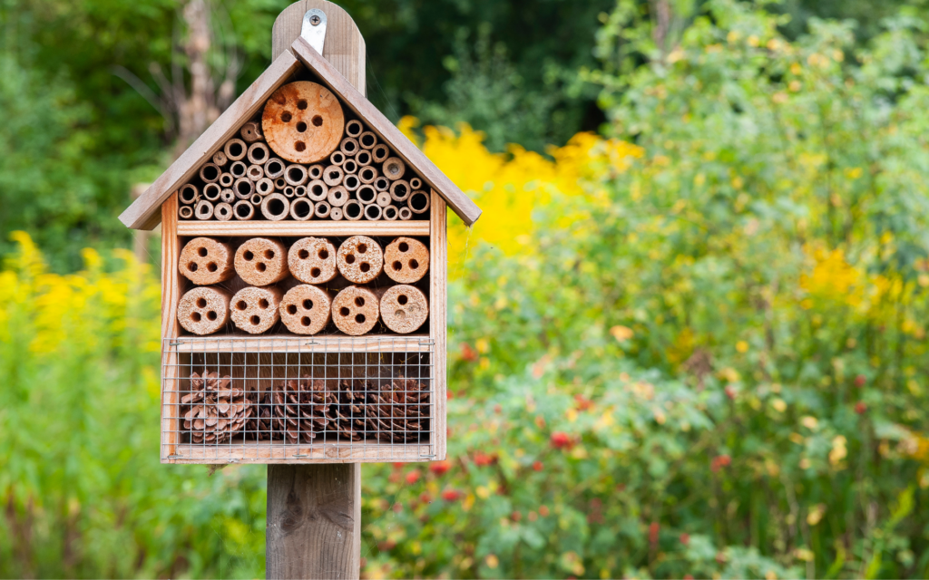 Charity Bee Hotel