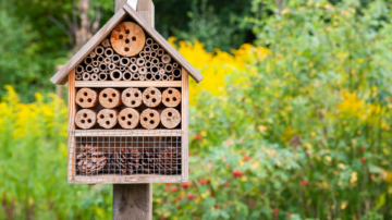 Charity Build A Bee Hotel