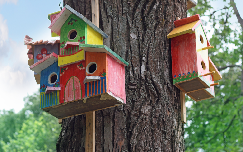 Charity Build A Bird House
