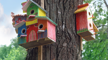 Charity Build A Bird House